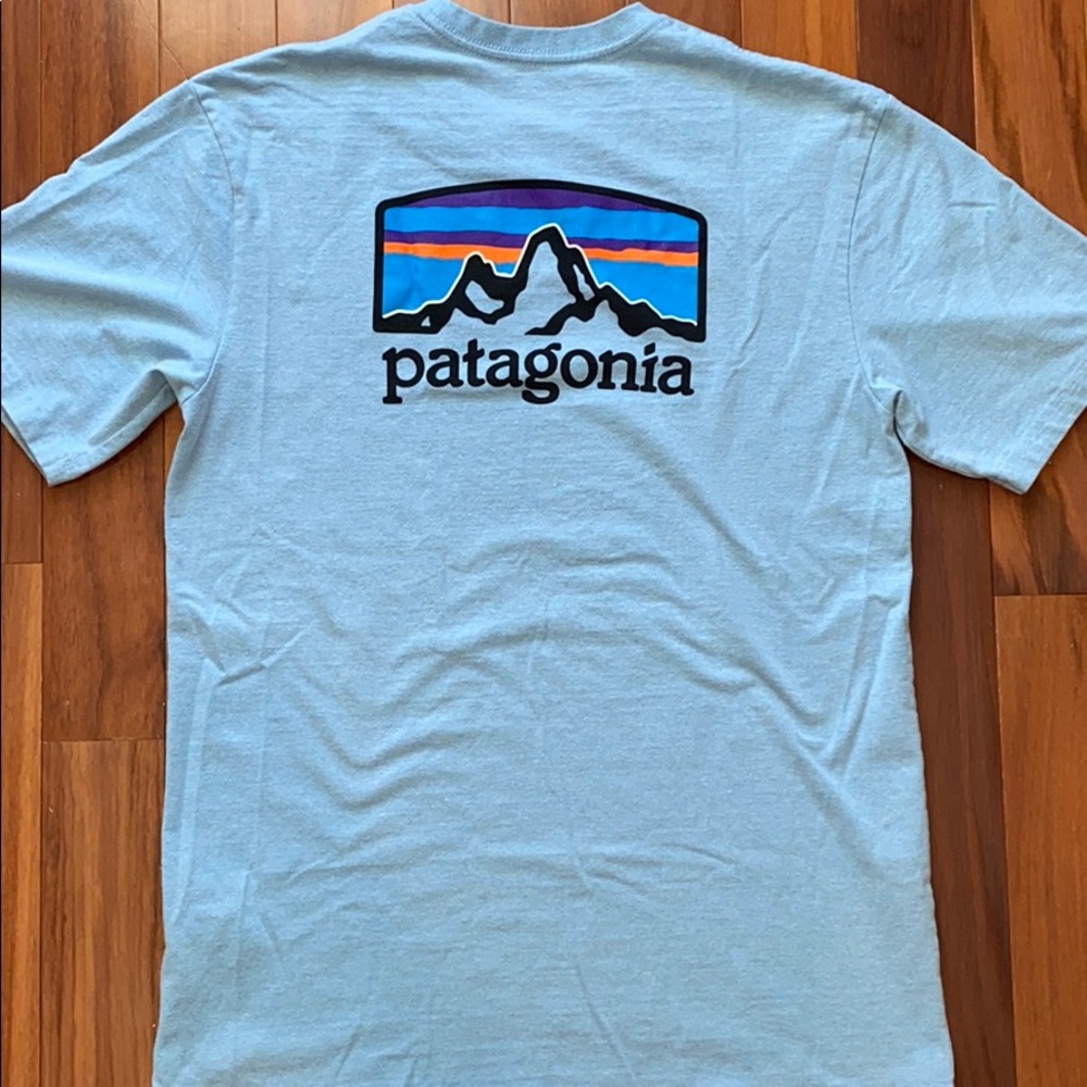 Patagonia Fitz Roy Horizons Responsibili-Tee
